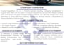 design a professional capability statement for government contracts